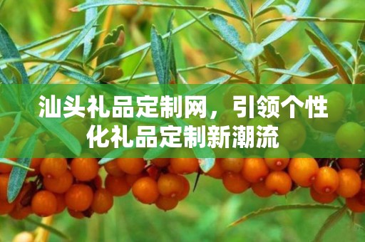汕头礼品定制网，引领个性化礼品定制新潮流
