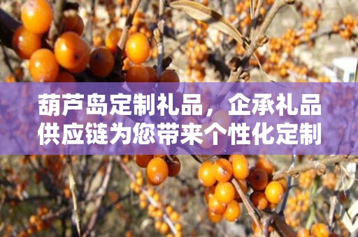 葫芦岛定制礼品，企承礼品供应链为您带来个性化定制体验