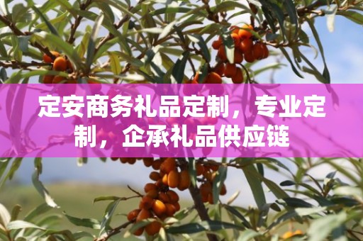 定安商务礼品定制，专业定制，企承礼品供应链